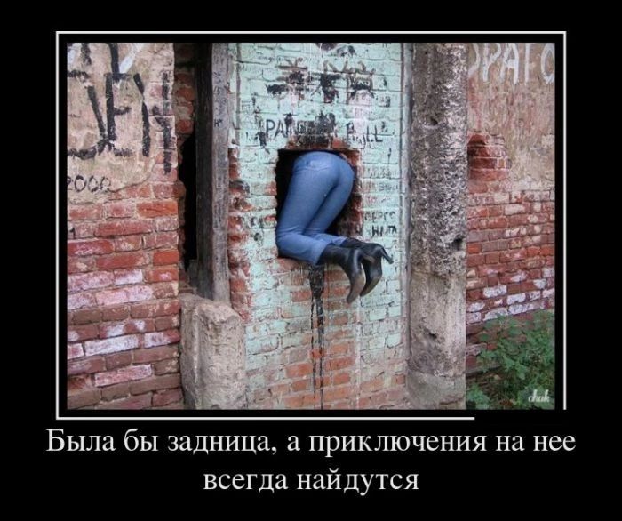 Была бы задница а приключения на нее всегда найдутся