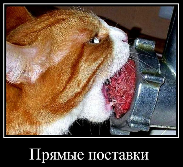 Б ПРЯМЫС ПОСТЗВКИ