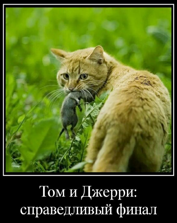 Том и Джерри справедливый финал