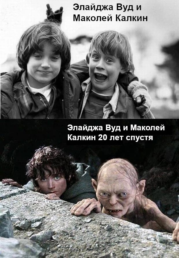 Элайджа Вуд и Маколей Капкин Элайджа Вуд и Маколей Капкин 20 лет спустя