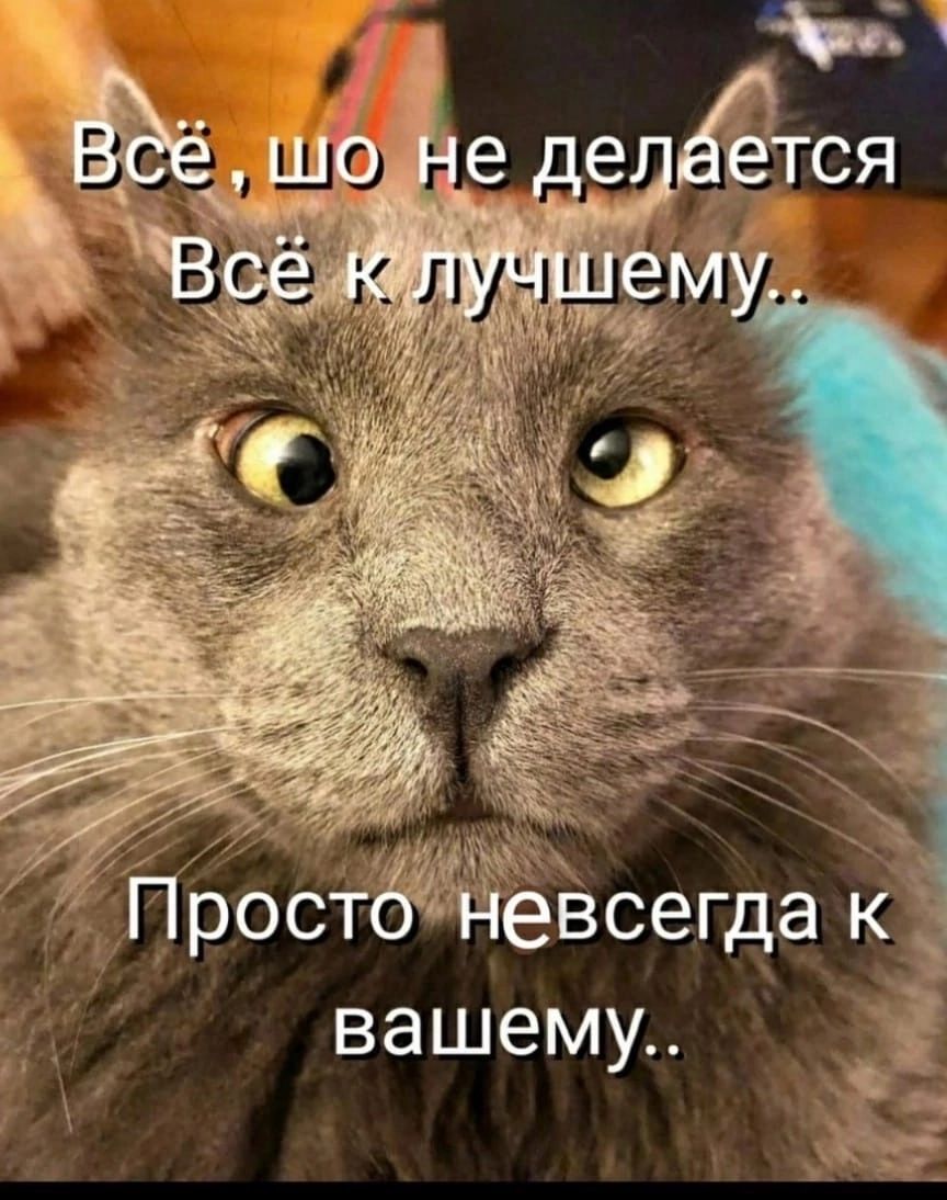 Простащёевсегда к вашему