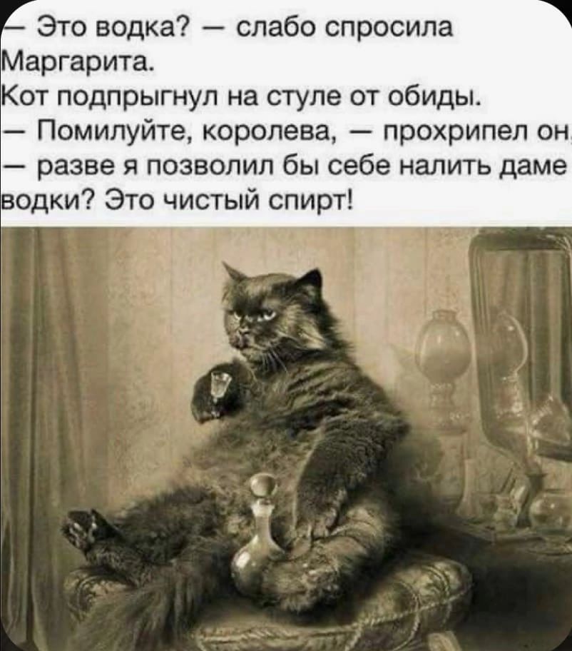Это водка слабо спросила аргарита от подпрыгнул на стуле от обиды Помилуйте королева прохрипел он разве и позволил бы себе налить даме одки7 Это чистый спирт