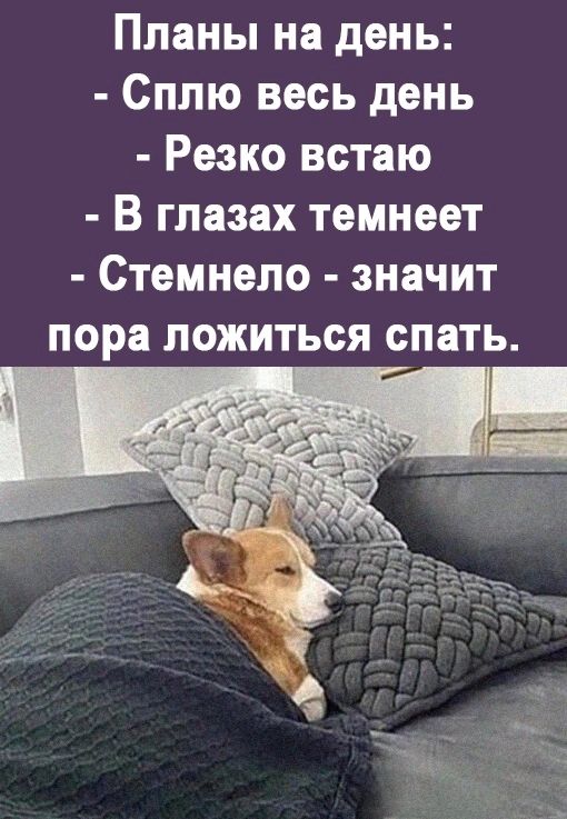 Планы на день Сплю весь день Резко встаю В глазах темнеет Стемнепо значит пора ложиться спать