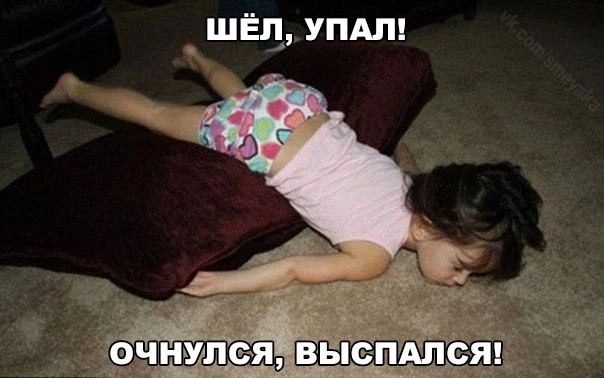 _ шЕд упдт