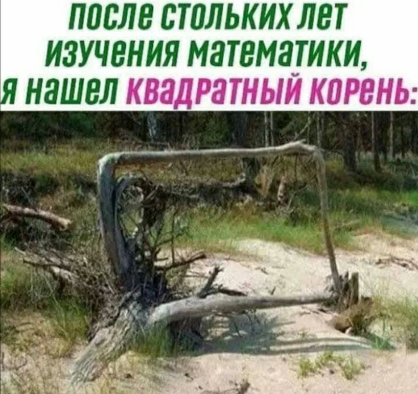 ППСЛЕ ВШЛЬКИХЛВТ ИЗУЧЕНИЯ МЯТВМЗТИКИ НЯШВЛь Г трэш ПРЭНЬ