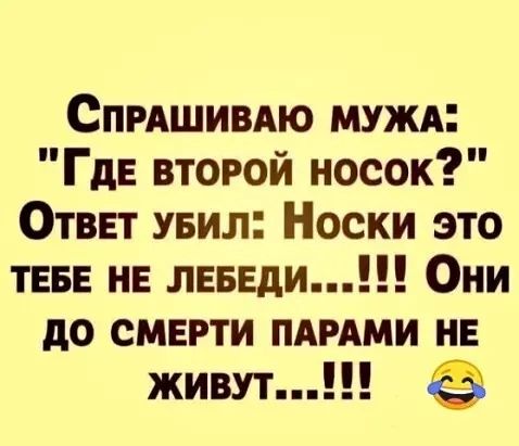 Спишипю мужд Где второй носок Отввт увил Носки это ТЕБЕ на пиши Они до смерти пдмми НЕ живут