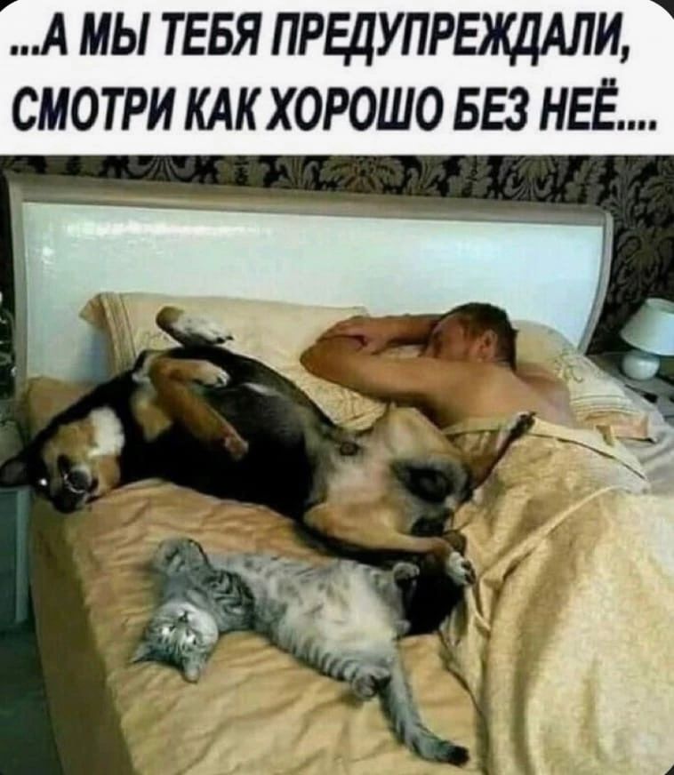 А МЫ ТЕБЯ ПРЕДУПРЕЖЦАЛИ СМОТРИ КАК ХОРОШО БЕЗ НЕЁ