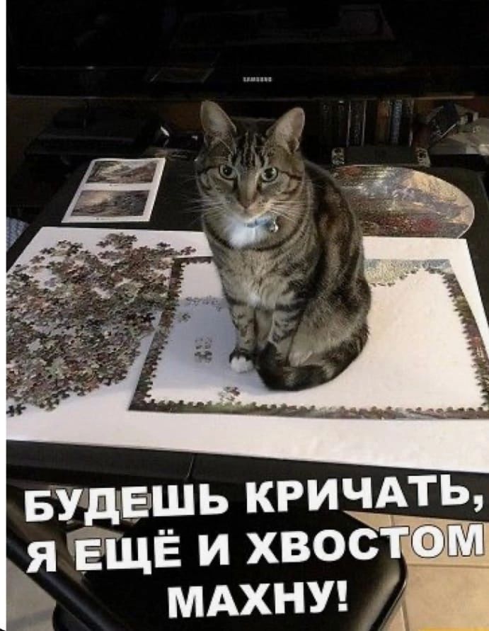 Бугдвзщь кричмь я ЁГЩЁ и хвост МАХНУ