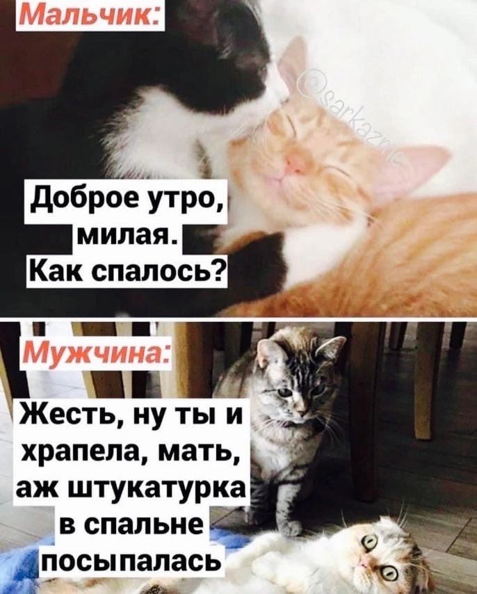 доброе утро Жесть ну ты и храпепа мать аж штукатурка в спальне Агіосыпалась д