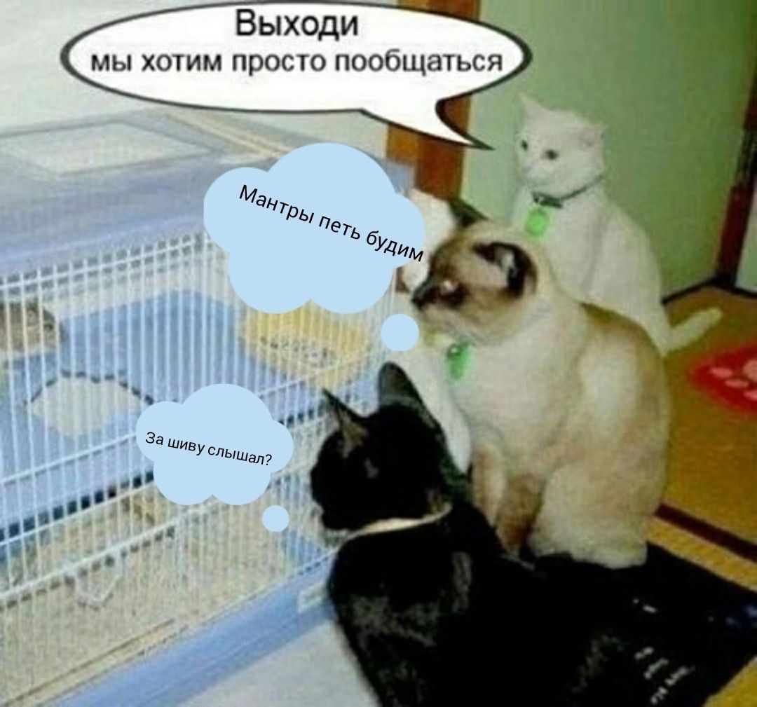 Выходи хиты ним И