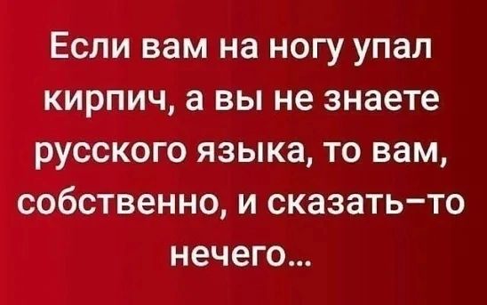 Если вам на ногу упал кирпич а вы не знаете русского языка то вам собственно и сказатьто нечего