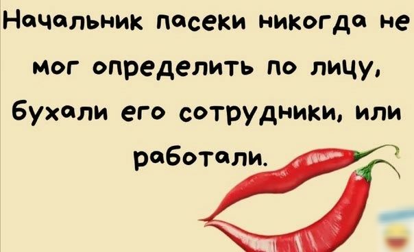 Начальник пасеки никогда не мог определить по лицу бухали его сотрудники или работали