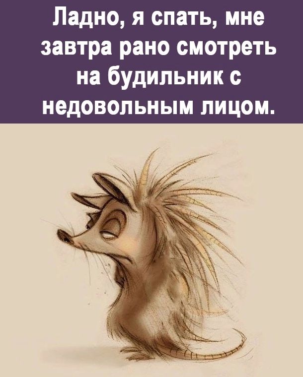 Ладно я спать мне завтра рано смотреть на будильник недовольным лицом