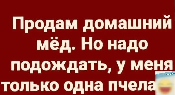 Продам домашний мёд Но надо подождать у меня только одна пчел