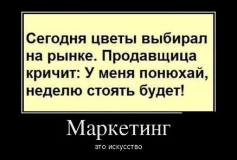 Сегодня цветы выбирал на рынке Продавщица кричит У меня понюхай неделю стоять будет Маркетинг гс иэдгвш