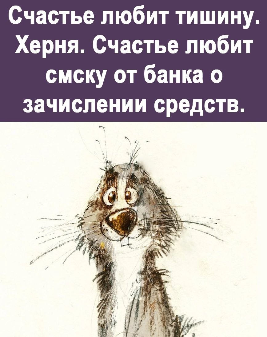 Счастье любит тишину Херня Счастье любит смску от банка о зачислении средств