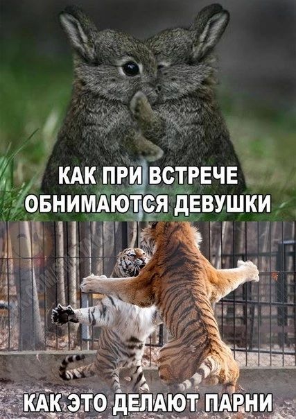 КАК ПРИ ВСТРЕЧЕ _ БНИМАЮ ТСЯ дЕВУШКИ И