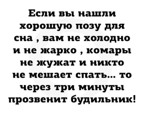 Если вы нашли хорошую позу для сна вам не холодно и не жарко комары не жужат и никто не мешает спать то через три минуты прозвенит будильник
