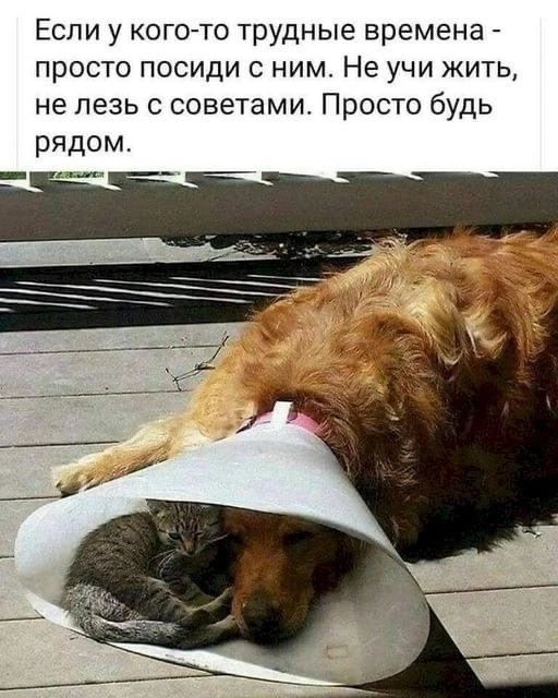 Если у когото трудные времена просто посиди с ним Не учи жить не лезь с советами Просто будь рядом