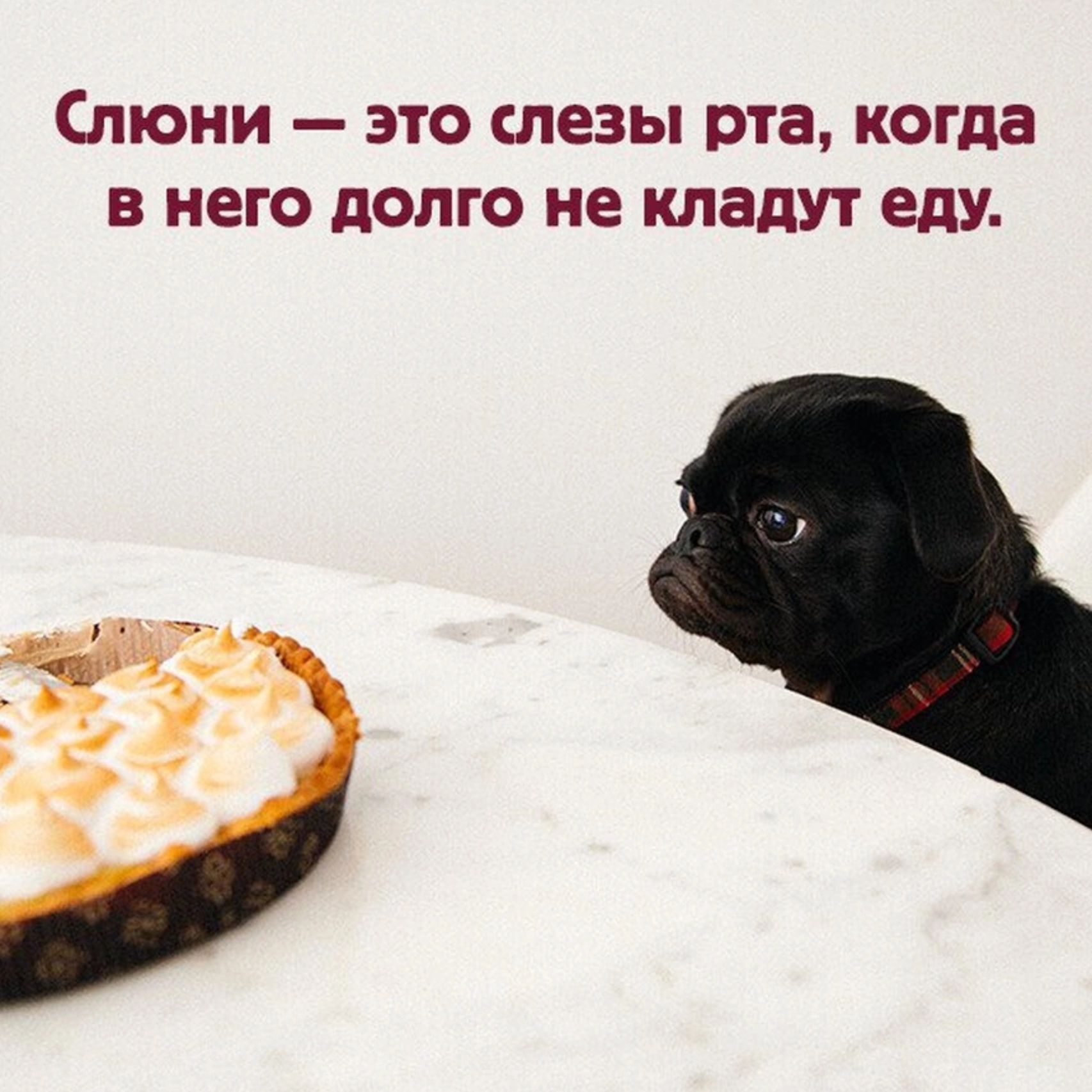 Слюни это СЛЕЗЫ рта когда В него долго НЕ КЛЗДУТ едУ