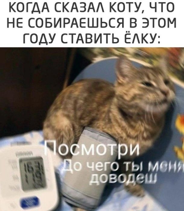 КОГДА СКАЗАА КОТУ ЧТО НЕ СОБИРАЕШЬСЯ__В ЭТОМ ГОДУ СТАВИТЬ ЕКУ рй 0 Ты Мтй воде ш _ А