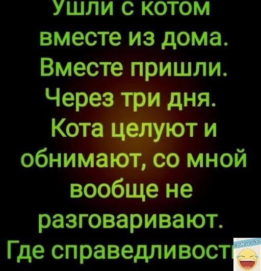 ушли с котом вместе из дома Вместе пришли вооЁЩё не разговаривают Где справедливост