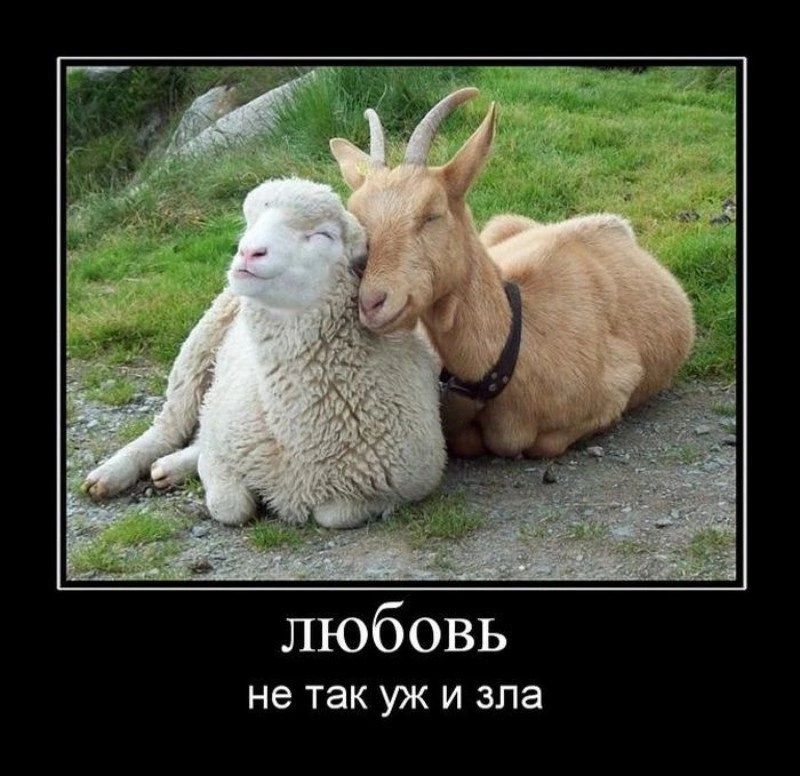 любовь не ТЕК УЖ И апа