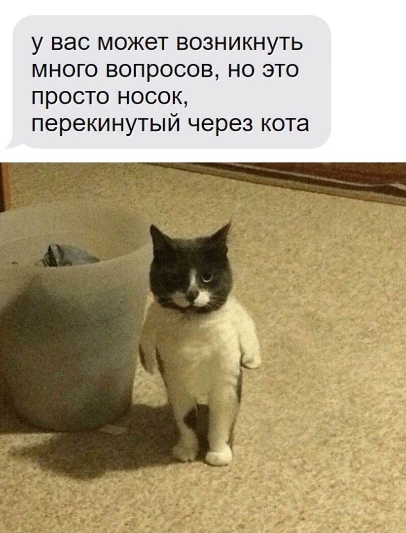у вас МОЖЕТ ВОЗНИКНУТЬ МНОГО ВОПРОСОВ НО ЭТО просто носок перекинутый через кота