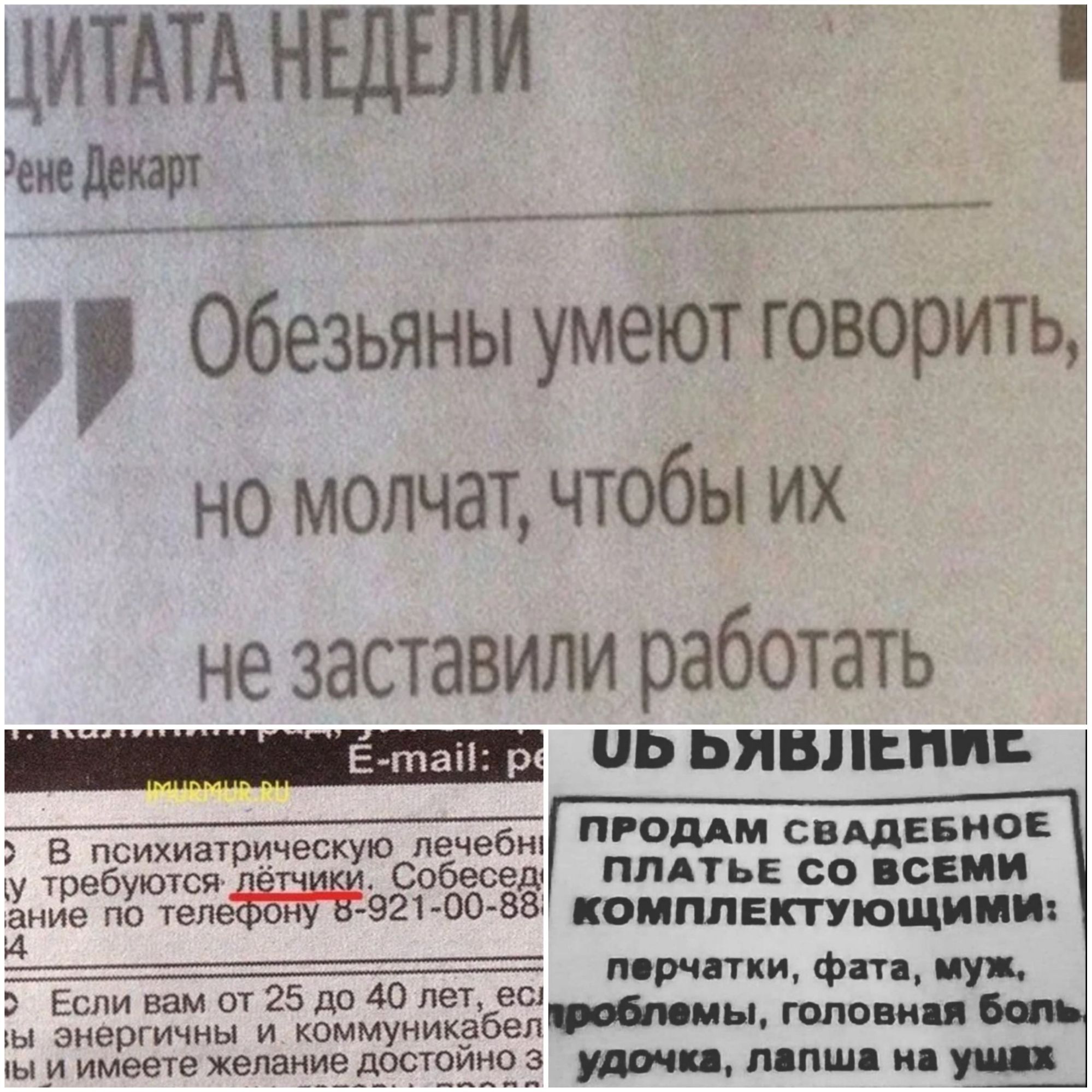 ЦИТАТА нтдвли етдтш Обезьяны умеют говорить но молчат чтобы их не заставили работать иь пиши и в психиатрическую лечебт тим свшввиоі _у требуюшиж Спбесвд ПЛАТЬЕ со пении нИе по тел 4521 00 88 комплектующим мрчпки ФП ппу Если вам от 25 да до лет вы ы анаргичны и коммуникабеп Мы тисиц ы и имеете лан 99 довгеддч пищи и уши