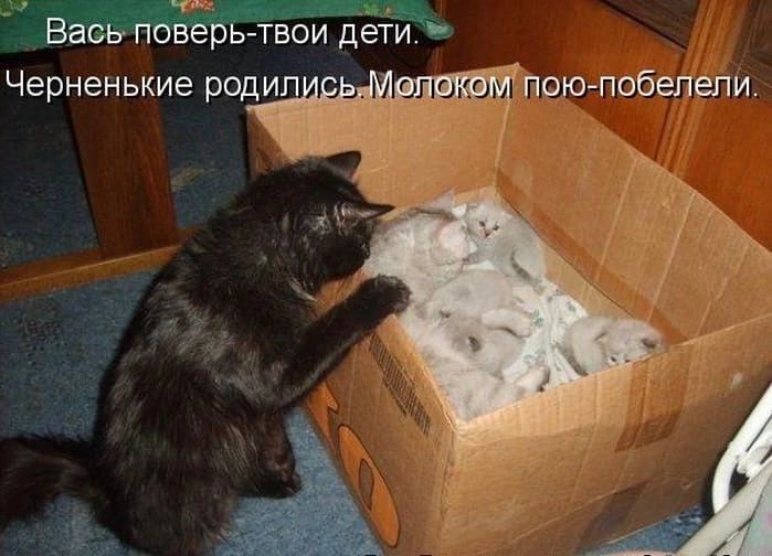 ч Ваоь поверь твои дети Черненькие ропоюлобепепи