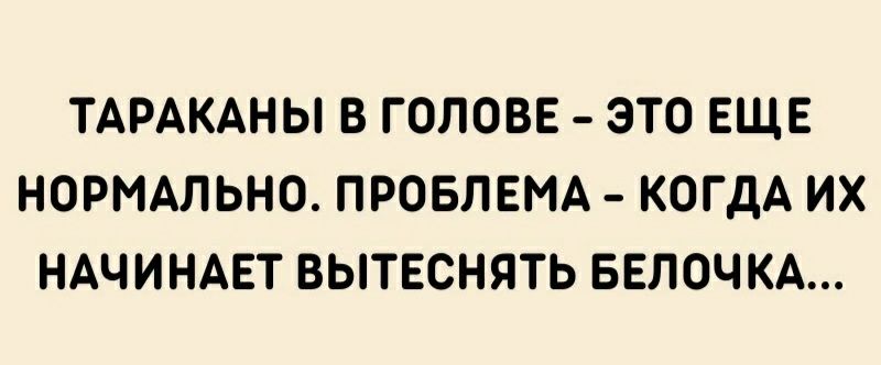 ТАРАКАНЫ В ГОЛОВЕ ЭТО ЕЩЕ НОРМАЛЬНО ПРОБЛЕМА КОГДА ИХ НАЧИНАЕТ ВЫТЕСНЯТЬ БЕЛОЧКА