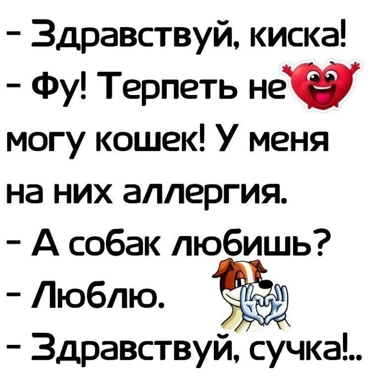 Здравствуй киска Фу Терпеть не могу кошек У меня на них аллергия А собак любишь Люблю Здравствуй сучка