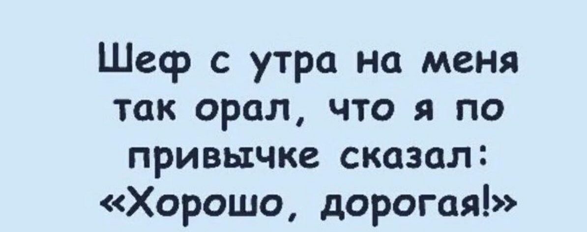 Шеф с утра на меня так орал что я по привычт сказал Хорошо дорогая