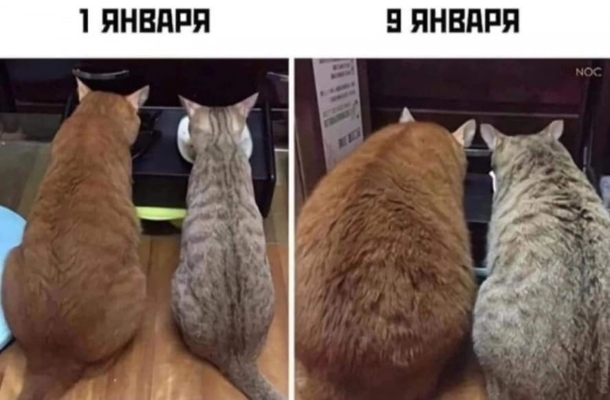 я ни я в н и П ЯНВАРЯ