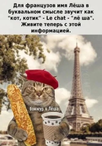 для француам ини Лёша в буквальном смысле звучит как кот котик Ца На пё ша Живите теперь с этой информацией