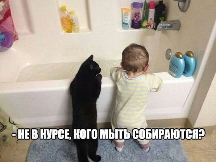 _цдщгсі ипш гайцы