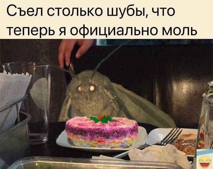 Съел столько шубы что теперь я официально моль