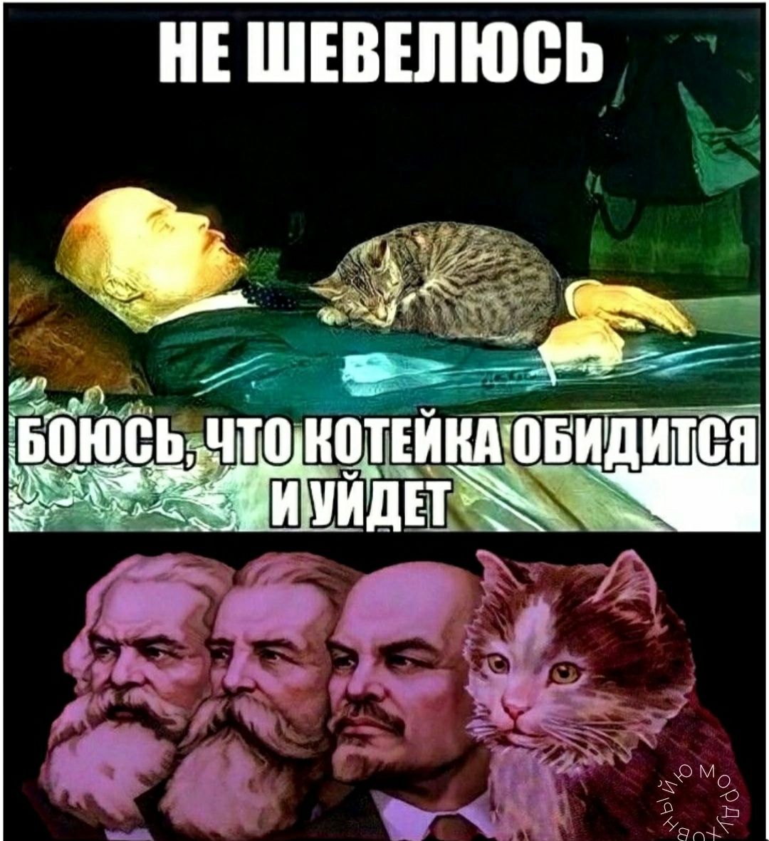 э и _ее БПЮВБ ЧТБНШЁИНА ПЕИДИТЁП Л м 13 _ _