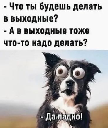 Что ты будешь делать в выходные А в выходные тоже что то надо делать дотадно