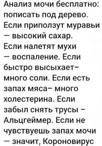 Анализ мочи бесплатно пописать под дерево Если припопзут муравьи высокий сахар Если налетят мухи воспаление Если быстро высыхает много соли Если есть запах мяса много холестерина Если забыл снять трусы Апьцгеймер Если не чувствуешь запах мочи значит Короновирус