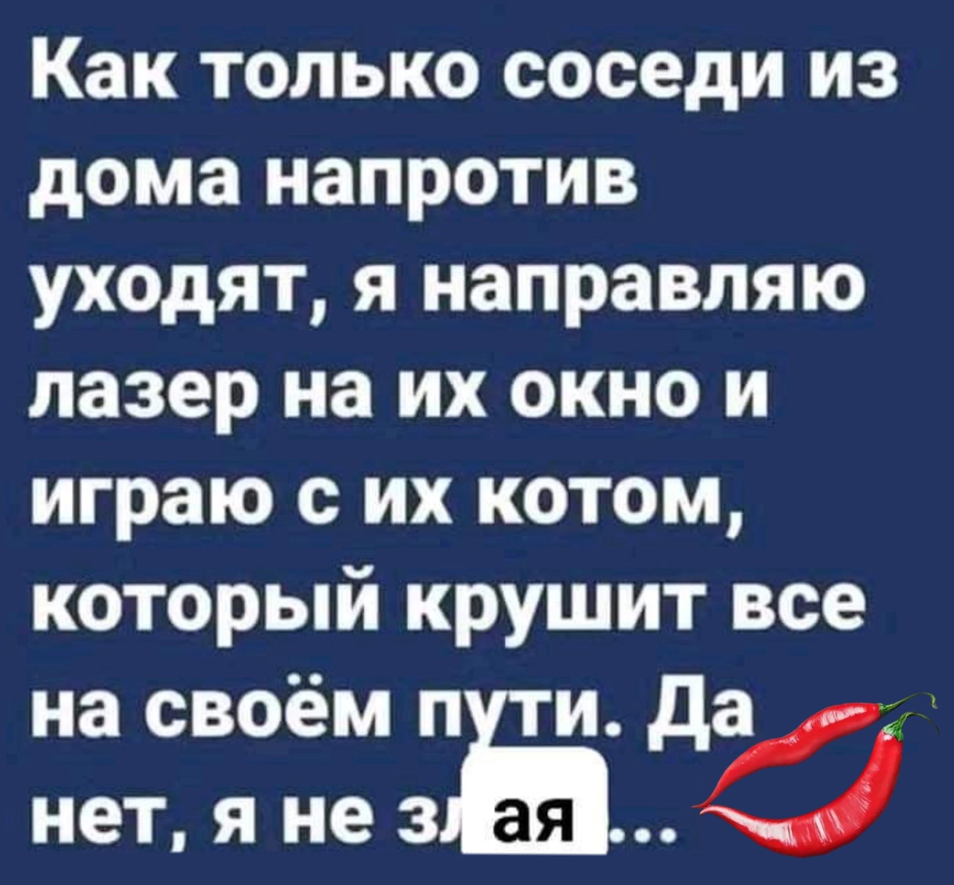 Как только соседи из дома напротив уходят я направляю лазер на их окно и  играю с их котом который крушит все на своём п и да нет я не а - выпуск