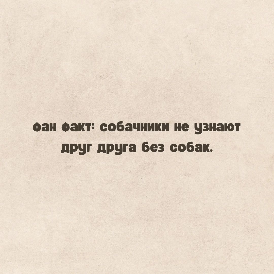 а 03 ООБЗЧШКИ не узнают ПРВ ПРЦГЗ 593 00631