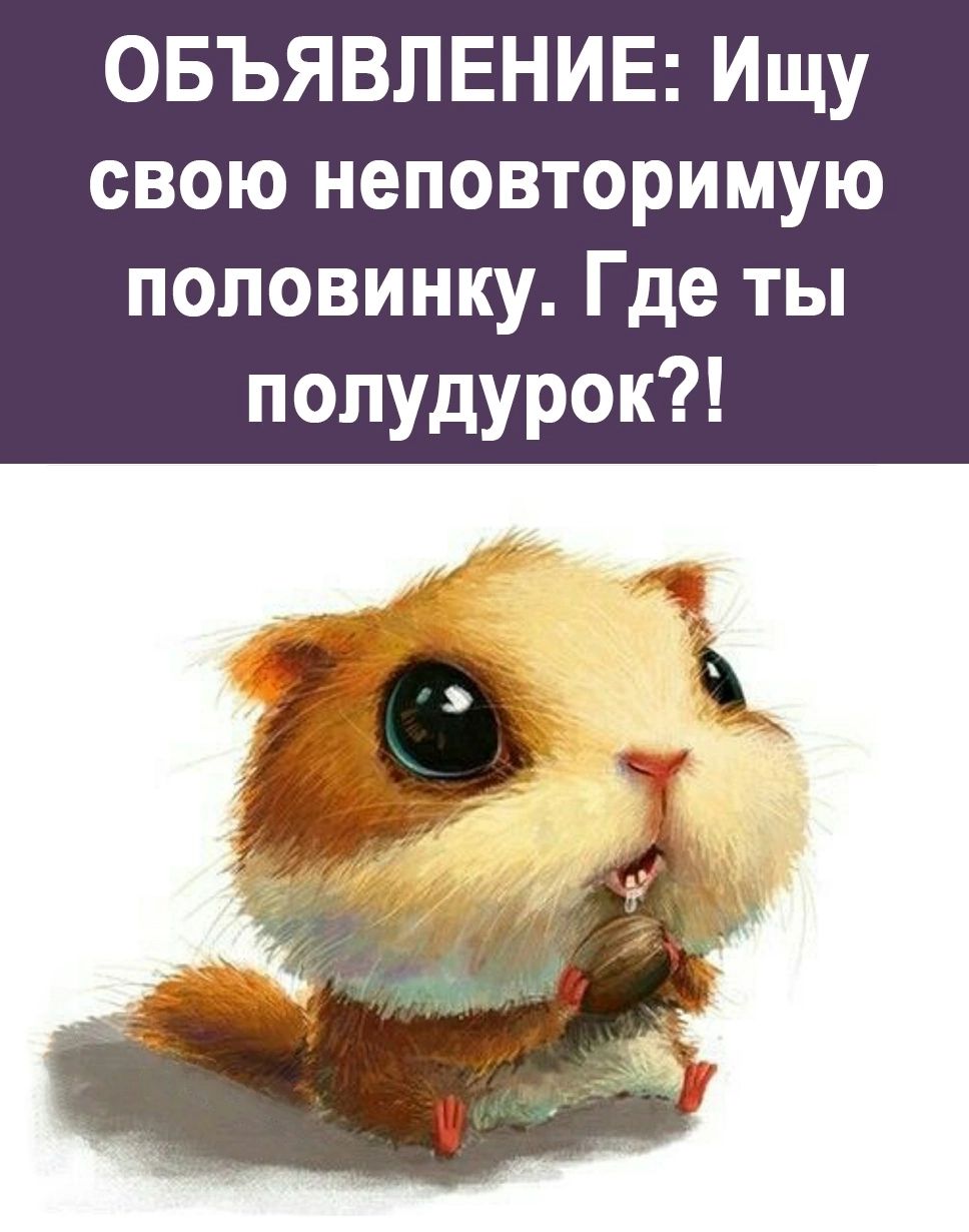 ОБЪЯВЛЕНИЕ Ищу свою неповторимую половинку Где ты полудурок