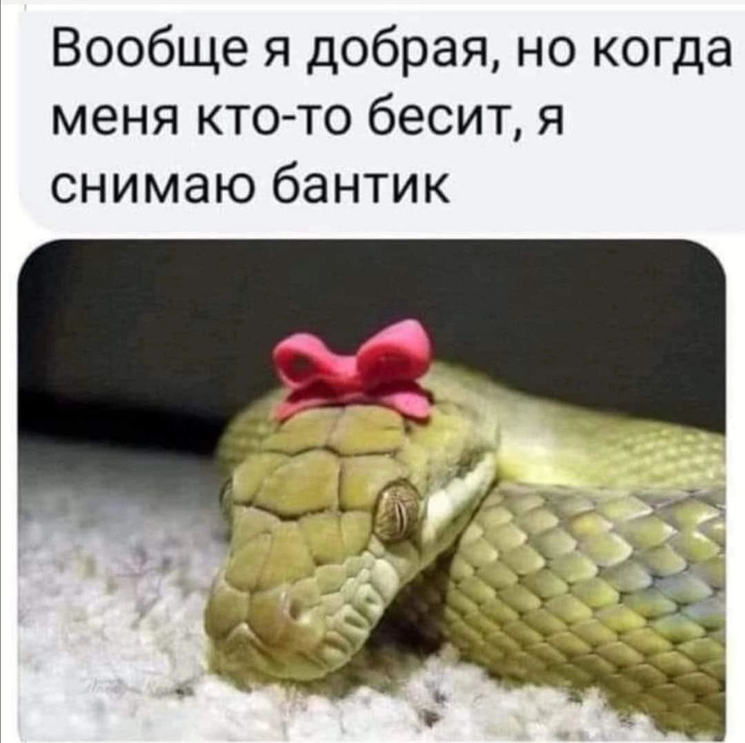 Вообще я добрая но когда меня кто то бесит я снимаю бантик