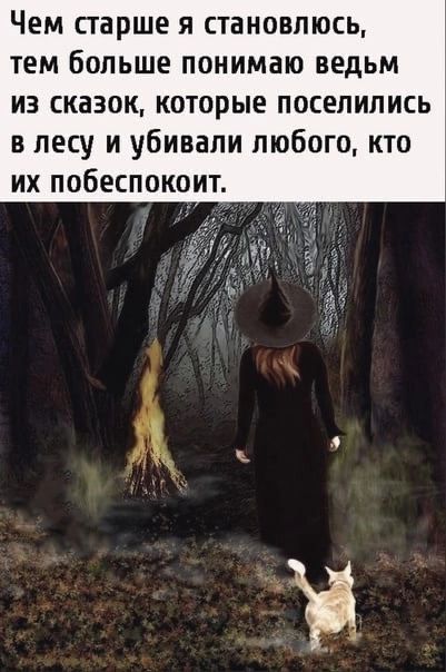 Чем старше я становлюсь тем больше понимаю ведьм из сказок которые поселились в лесу и убивали любого кто их побеспокоит
