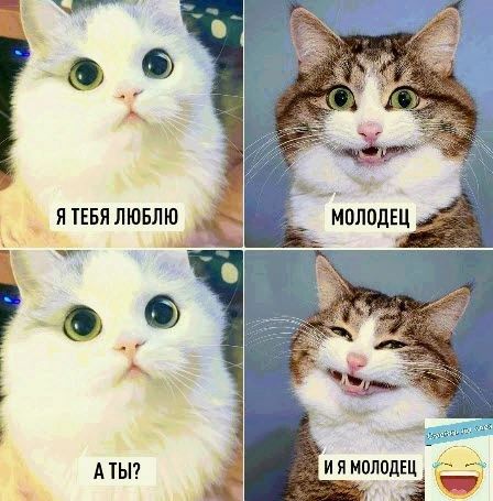 Ё ЩщЁ ЁЁ