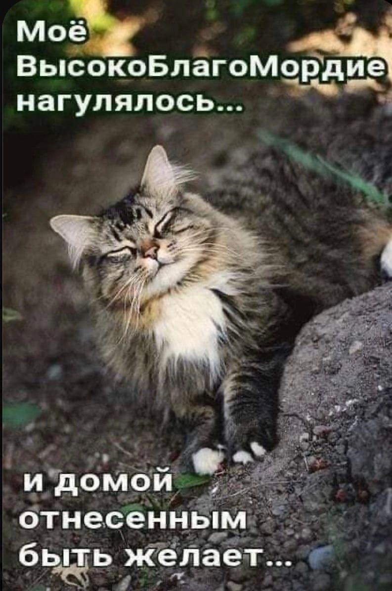моё ВысокоБпёгоМорддЁ нагулялось 1 _ иіцомбйі бтнесенн _Ц бьагь яйедпает _ и