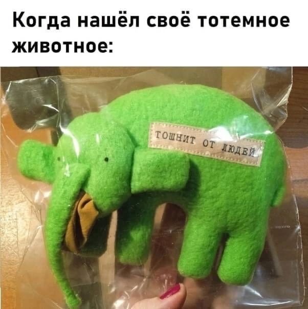 Когда нашёл своё тотемное животное