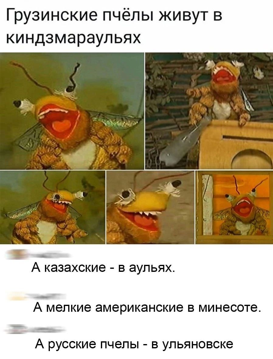 Грузинские пчёлы живут в киндзмараульях А казахские В ЭУЛЬЯХ А мелкие американские в минесоте А русские пчелы в упьяновске