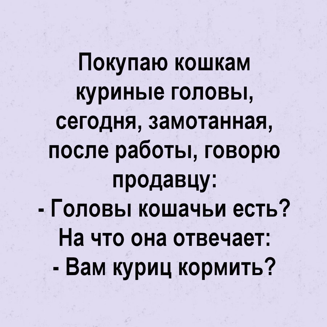 Покупаю кошкам куриные головы сегодня замотанная после работы говорю продавцу Головы кошачьи есть На что она отвечает Вам куриц кормить